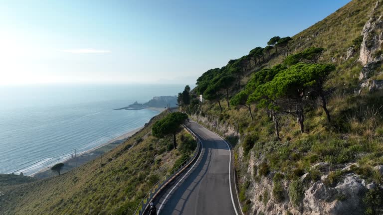 Calm coastal pathway at dawn in New Zealand illustrating Purgingypurify editorial lifestyle pacing